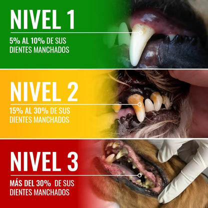 RENOVAPET ORAL 🐶 Adiós Al Sarro 😻