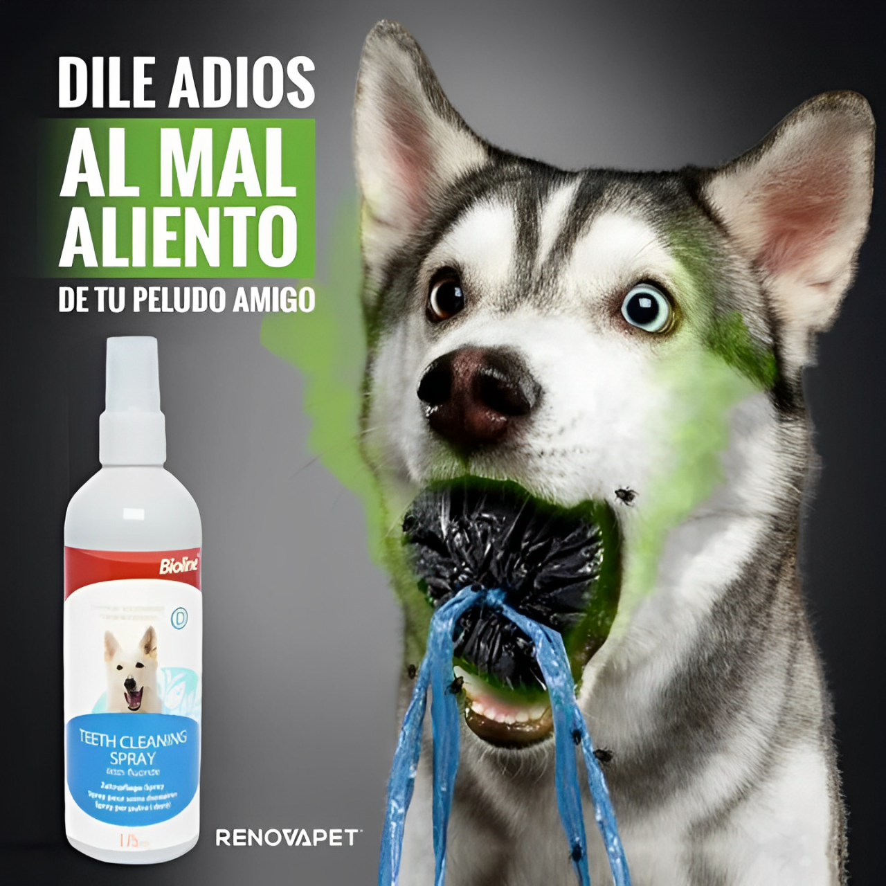 RENOVAPET ORAL 🐶 Adiós Al Sarro 😻