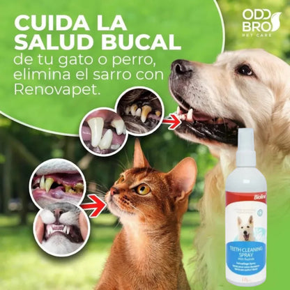 RENOVAPET ORAL 🐶 Adiós Al Sarro 😻